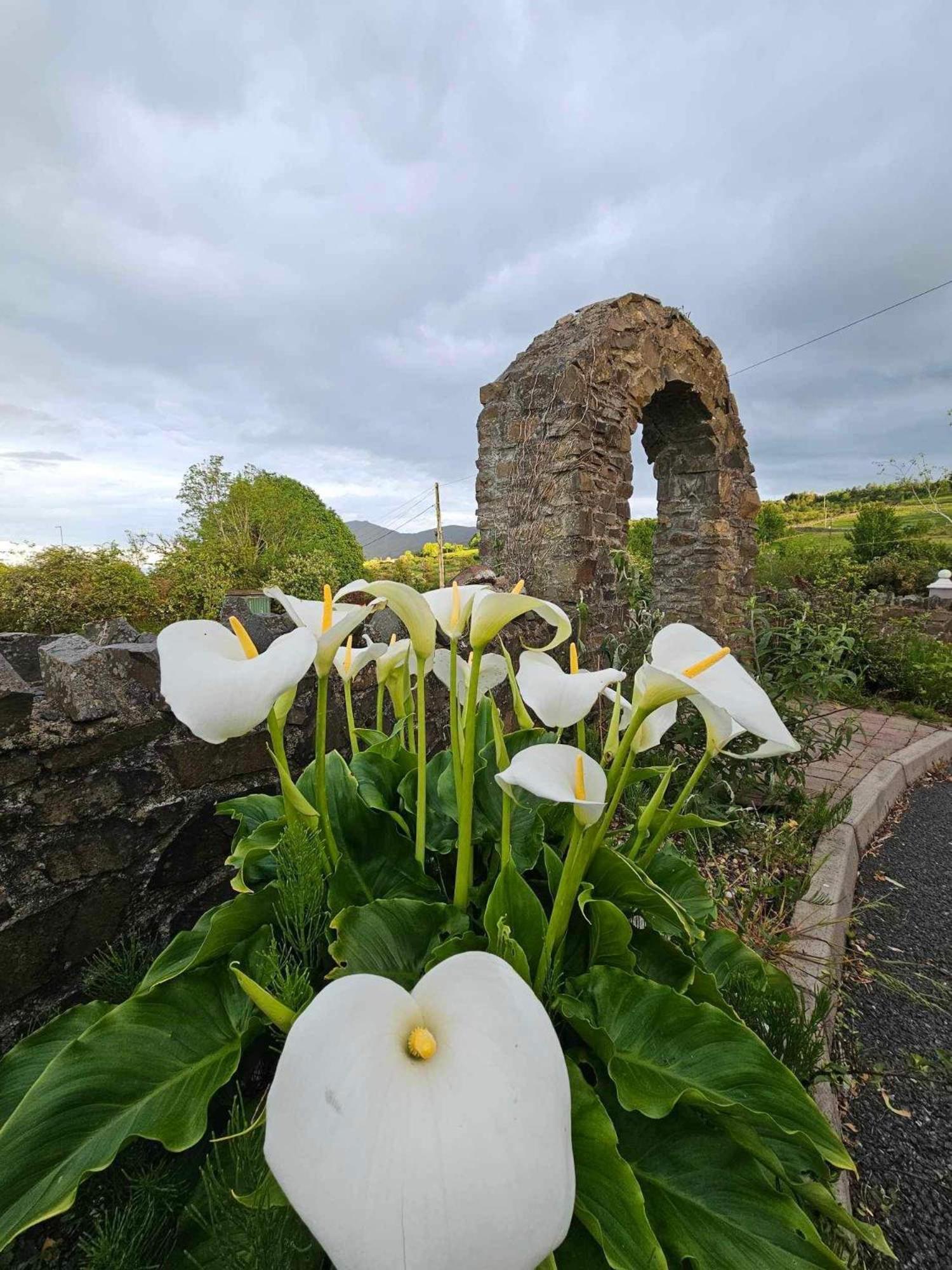 Croi Beag Luxury Studio Dundalk Exterior photo